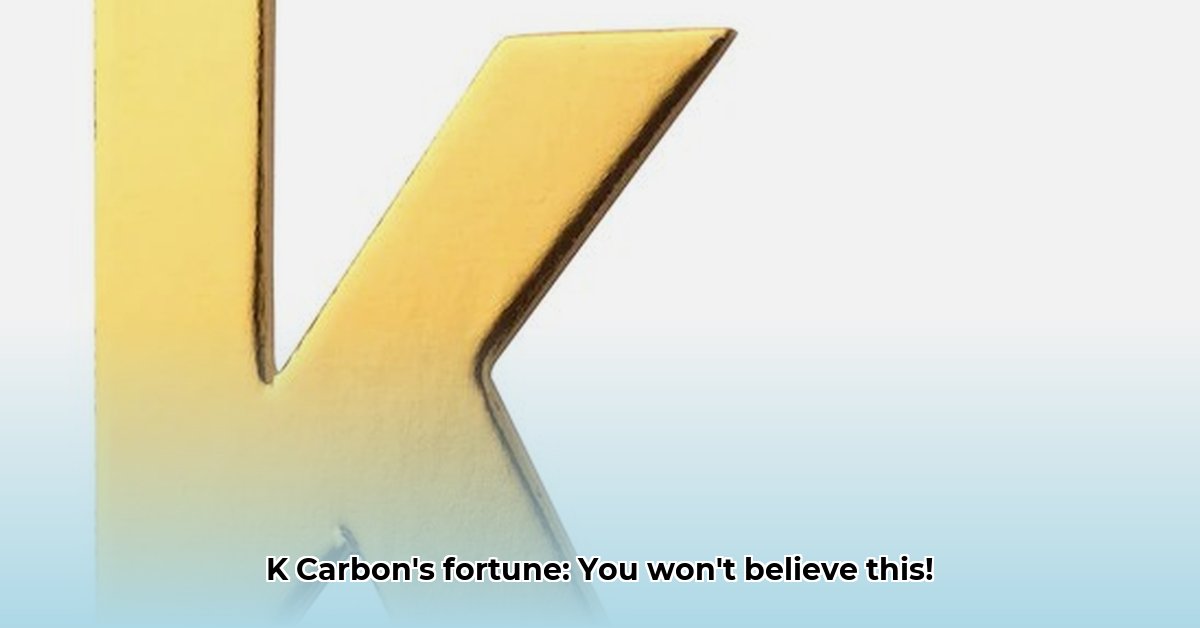 k-carbon-net-worth